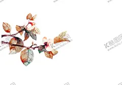 中国风水墨花卉PNG免扣 【酷图网】红梅,古风,飞檐,屋顶,新春,新年,水彩,花卉,海棠花,樱花,桃花,工笔画,点缀,装饰,前景,免抠,合成,素材,梅花,花朵,树枝,枝头,手绘,海报,设计,插画,插图,明信片,冬日,冬季,春天,背景,