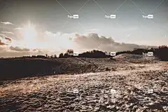 冬季 雪 自然背景 免费壁纸 景观 性质 4K壁纸 视图
