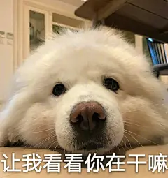 有什么适用于和老公/男票撒娇的可爱表情包？ - 知乎 : 狗粮大队长小犀姐上线啦，前方一大堆撩汉表情包即将来袭，大家注意手动收藏~最后老爹教你一招土味撒娇，…