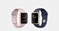 Watch : Apple Watch 是为健康生活而设计的强大设备。包括 Apple Watch Series 2 和 Apple Watch Series 1 在内，共有多种多样的表款任你选择。