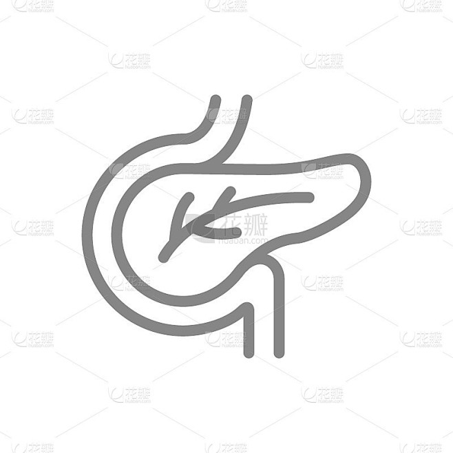 胰腺行图标。健康内脏符号