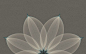 4c90070cc62945257156da1a96ddb4f7