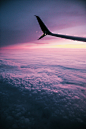 (10) Tumblr