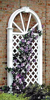Arched Wall Trellis ...
