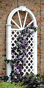 Arched Wall Trellis - great for an expanse of windowless exterior walls... install 2 or 3 on one wall?: 