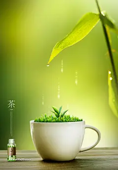 创意文化茶叶茶园花茶绿色叶子文化海报-1