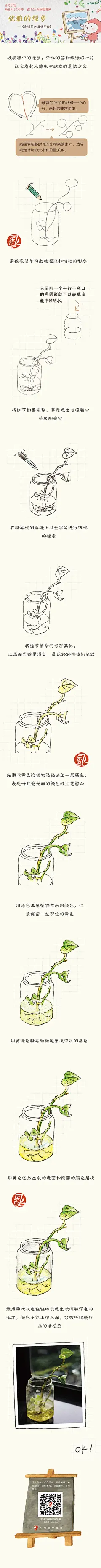 优雅的绿萝#手绘##插画##彩铅##《色铅笔的温情手绘》