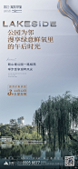1107湖滨双十一车位系列_画板 1 副本 4