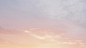 april birds branding  digital gradient Nature SKY spring Sunrise sunset