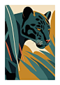 豹子黑豹动物插画矢量图设计素材