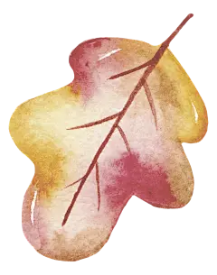 秋季卡通水彩动物松鼠刺猬印刷可爱装饰免抠PNG图案 透明设计素材 (2)