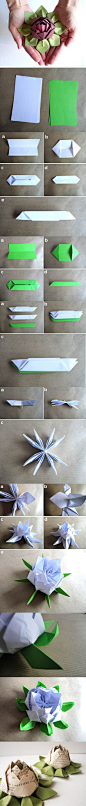 DIY Paper Lotus Flower Tutorial