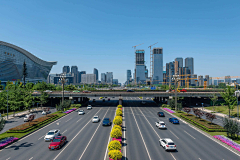 不知道叫shenmo名字采集到城市