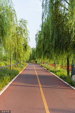 11空白11采集到道路