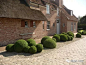 Topiary Garden球球们的花园世界