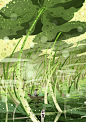 01cnfhgvvs7iccfhc7vnsd3236.jpg (2480×3508)