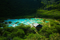 HaiLLLL采集到杂图