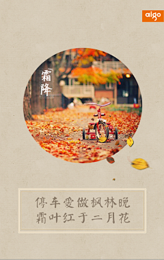 时遇枫采集到节气