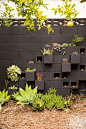 Build an affordable succulent wall planter using cinderblocks.