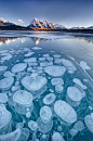 亚伯拉罕湖是一座人工湖，位于加拿大阿尔伯塔省北萨斯喀彻温河，建成于1972年。这座湖每年冬天都会出现一种奇观——湖面下聚集着大量的冰冻气泡。 (755×1137)