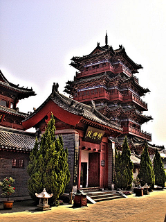 仓鼠老爷采集到场景