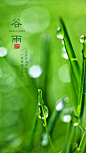 谷雨海报，免费拿去用