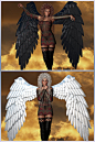 Seraph Wings 3D Models 3D Figure Assets prae : These Seraph or angel wings come with 9 high resolution texture maps at 3000 x 3000 and 20 mat pose files. They will conform to Victoria 4, Aiko 4, Michael 4 and Hiro 4.