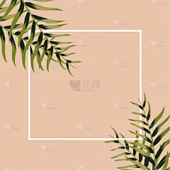 模板,叶子,绿色,抽象,请柬,贺卡,太平洋岛屿,边框,热带气候,浪漫