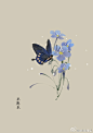 #365天生日花# 6月3日 亚麻花 (Flax) 
花语 ：感谢