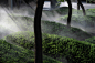 Poly Green City·Hejincheng Garden Physical Exhibition Area by Longting – mooool
