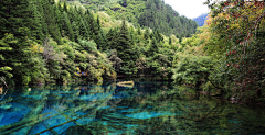 蕉雨落红叶采集到风景。美图。