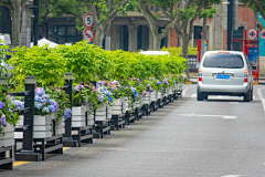 🌸沙沙沙🌸采集到Landscape|道路景观/交叉口