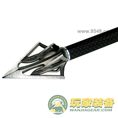 Kai毛采集到A池