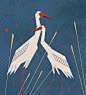 MIGRATORY BIRDS  Behance