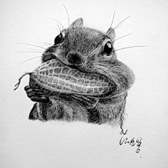 胡开花采集到黑白插画
