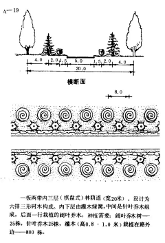 Cassiel·采集到植物设计平面图