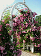 archway with flowering vines: 