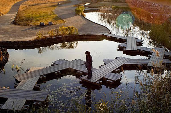 人与自然的交汇——湿地公园 - 项目 -...