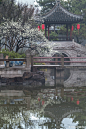 小场景 - 首页 - 微博