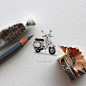 365 Postcards for Ants by Lorraine Loots