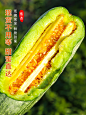 羊角蜜主图3-4-4