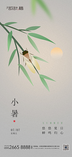 徐连翼采集到珠宝