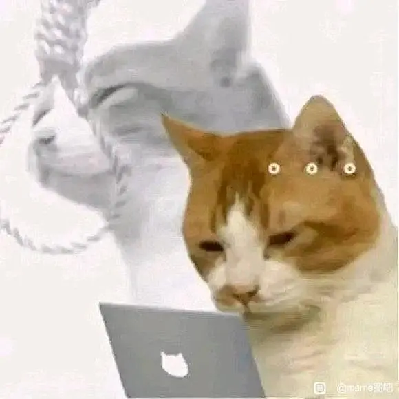有无这种猫meme_meme图吧_百度贴吧-花瓣网