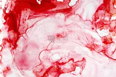 亮红色液体水彩背景模板。手绘图形画上白色，生动喜庆。