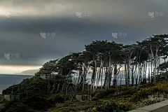 森林尽头的日落