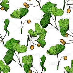 银杏,艺术,叶子,绿色,墨水,雕刻图像,轮廓,白色,纺织品,铅笔