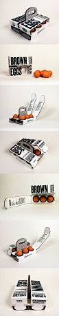 6 Brown Eggs (Concept) *** Designed by Sarah Machicado, a graduate from Maryland Institute College of Art.: 