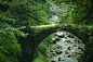 Bridge by zhengming Yi on 500px