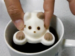 日本新出的喵星人棉花糖，看它慢慢地在咖啡...