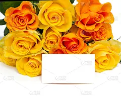 黄色和橙色的玫瑰